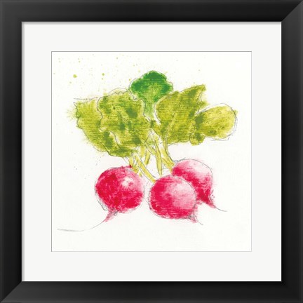 Framed Garden Delight X Print