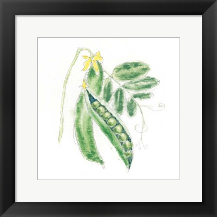 Framed Garden Delight XI Print