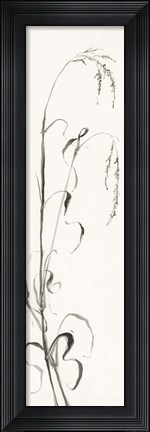 Framed Gray Grasses III Print