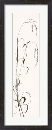 Framed Gray Grasses III Print