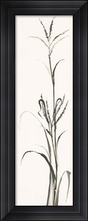 Framed Gray Grasses IV Print