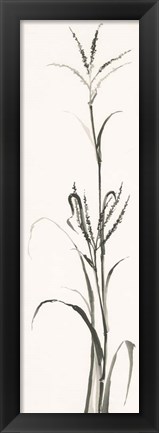 Framed Gray Grasses IV Print