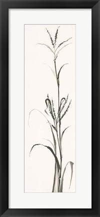 Framed Gray Grasses IV Print
