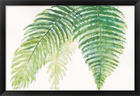 Framed Ferns III Square Print