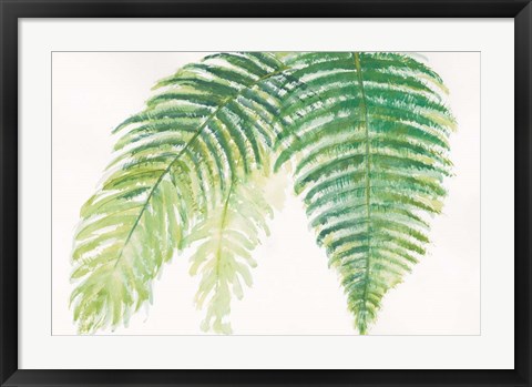 Framed Ferns III Square Print