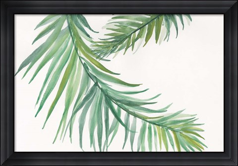 Framed Ferns IV Square Print