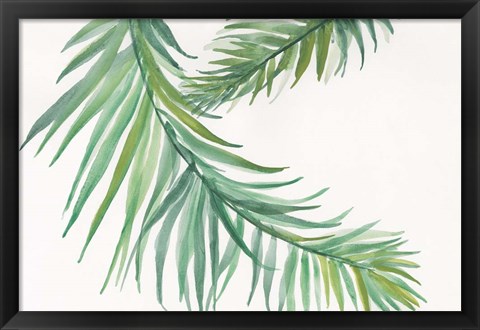 Framed Ferns IV Square Print