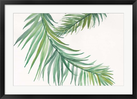 Framed Ferns IV Square Print