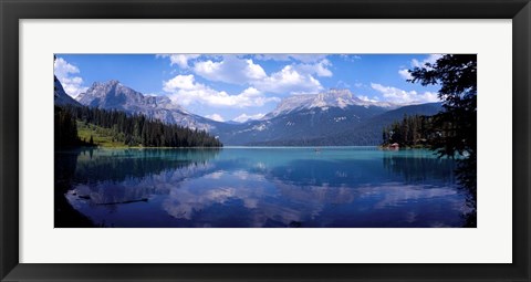 Framed Emerald Lake Reflections, Alberta, Canada Print