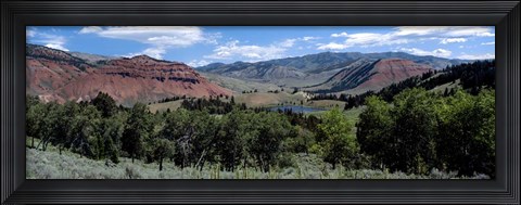 Framed Trees on Red Hills, Bridger Teton National Forest, Wyoming Print