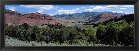 Framed Trees on Red Hills, Bridger Teton National Forest, Wyoming Print