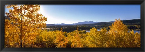 Framed Trees at Oxbow Bend, Grand Teton National Park, Wyoming Print