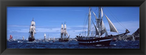 Framed Tall Ships, Brittany, France Print