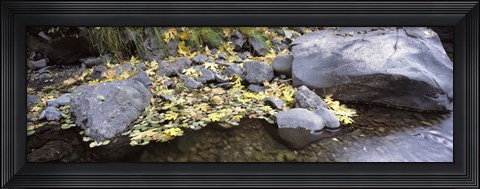 Framed Pilot Creek , Humboldt County, California Print