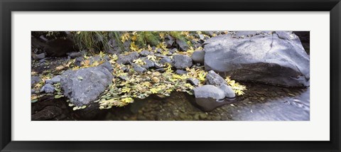 Framed Pilot Creek , Humboldt County, California Print