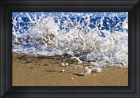 Framed Oahu Beach, Hawaii I Print