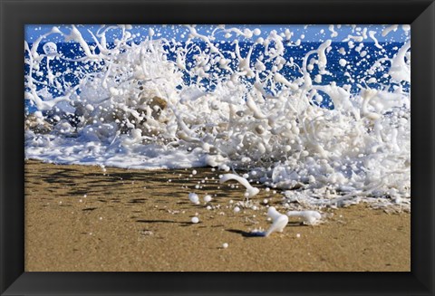 Framed Oahu Beach, Hawaii I Print