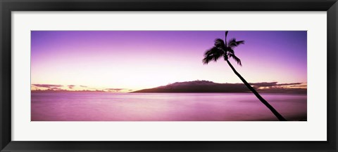 Framed Palm Tree on Purple, Maui, Hawaii Print