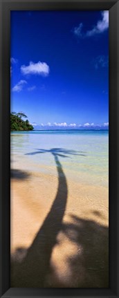 Framed Palm Tree Shadow, Tahiti, French Polynesia Print