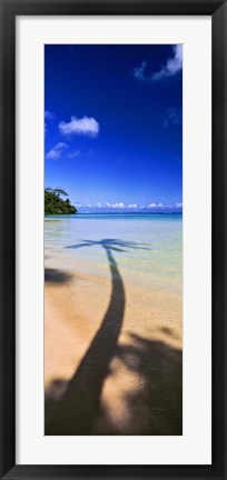 Framed Palm Tree Shadow, Tahiti, French Polynesia Print