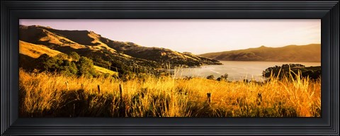 Framed Akaroa Harbour, Banks Peninsula, New Zealand Print