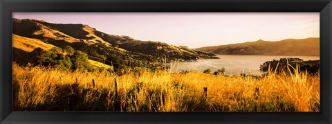 Framed Akaroa Harbour, Banks Peninsula, New Zealand Print