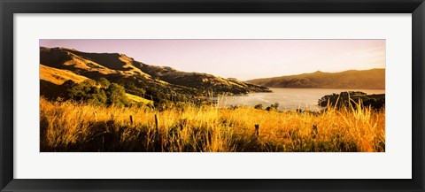 Framed Akaroa Harbour, Banks Peninsula, New Zealand Print