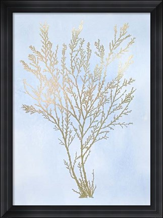 Framed Gold Foil Algae I on Blue - Metallic Foil Print