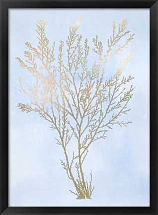Framed Gold Foil Algae I on Blue - Metallic Foil Print
