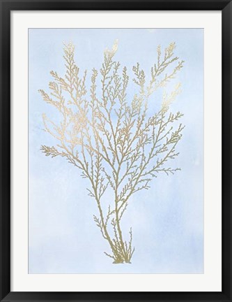 Framed Gold Foil Algae I on Blue - Metallic Foil Print