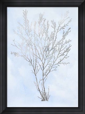 Framed Silver Foil Algae I on Blue - Metallic Foil Print