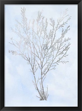 Framed Silver Foil Algae I on Blue - Metallic Foil Print