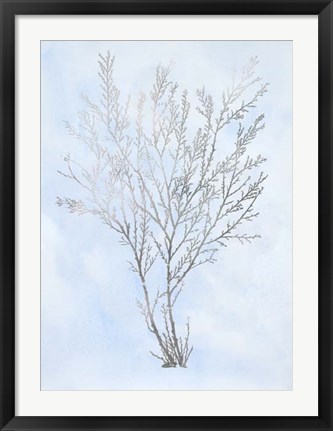 Framed Silver Foil Algae I on Blue - Metallic Foil Print