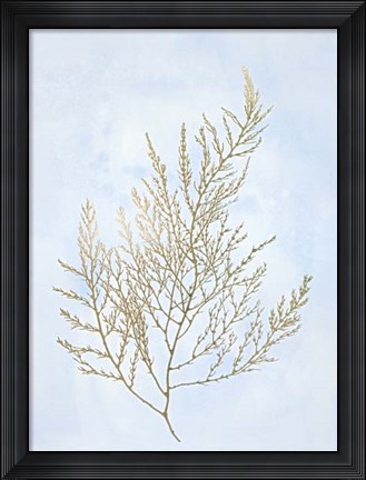 Framed Gold Foil Algae II on Blue - Metallic Foil Print