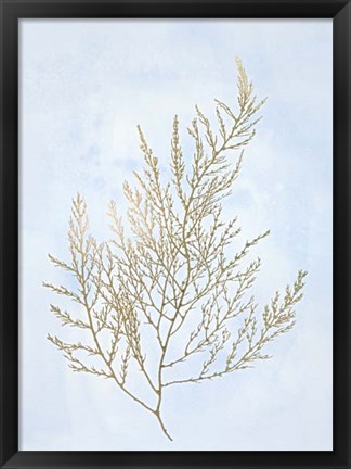 Framed Gold Foil Algae II on Blue - Metallic Foil Print
