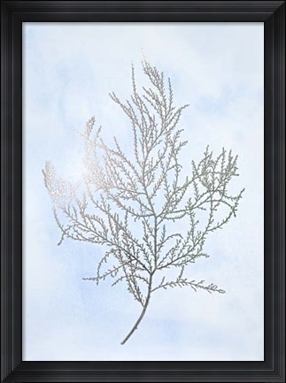 Framed Silver Foil Algae III on Blue - Metallic Foil Print
