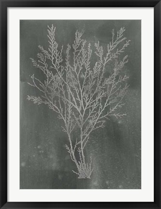 Framed Silver Foil Algae I on Black - Metallic Foil Print
