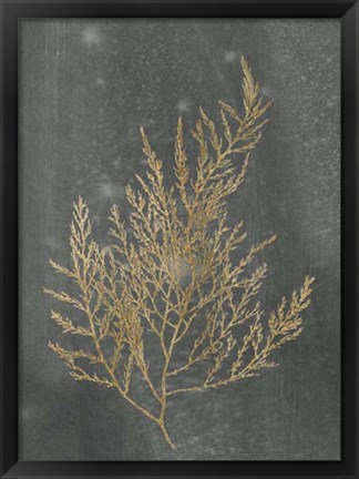 Framed Gold Foil Algae II on Black - Metallic Foil Print