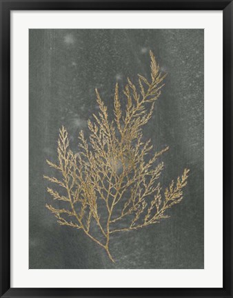 Framed Gold Foil Algae II on Black - Metallic Foil Print