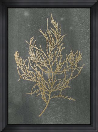 Framed Gold Foil Algae III on Black - Metallic Foil Print