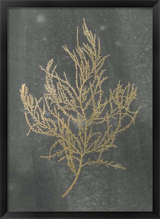 Framed Gold Foil Algae III on Black - Metallic Foil Print
