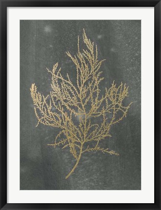 Framed Gold Foil Algae III on Black - Metallic Foil Print