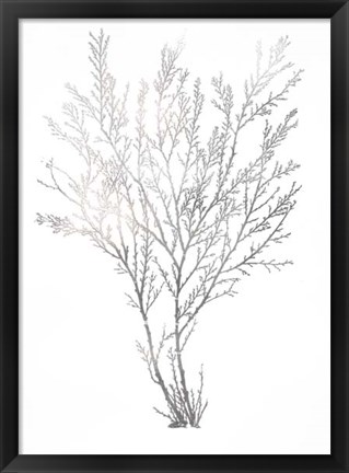 Framed Silver Foil Algae I - Metallic Foil Print