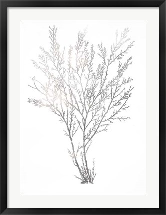Framed Silver Foil Algae I - Metallic Foil Print