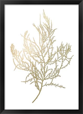 Framed Gold Foil Algae III - Metallic Foil Print