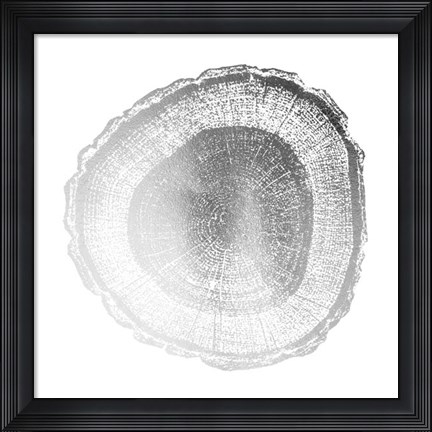 Framed Silver Foil Tree Ring I - Metallic Foil Print