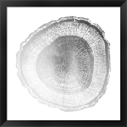 Framed Silver Foil Tree Ring I - Metallic Foil Print
