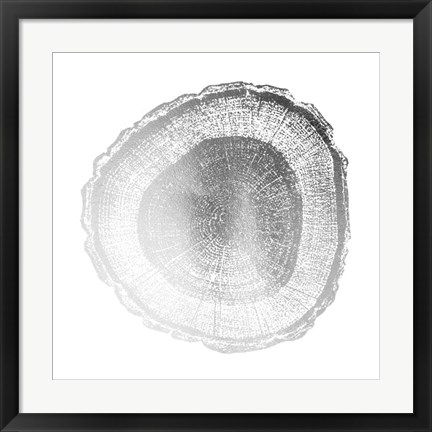 Framed Silver Foil Tree Ring I - Metallic Foil Print