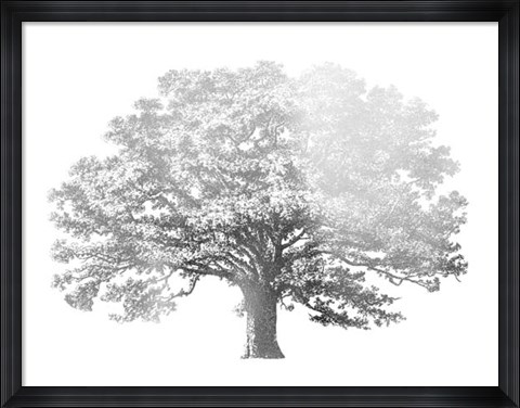 Framed Silver Foil Elephant Tree - Metallic Foil Print