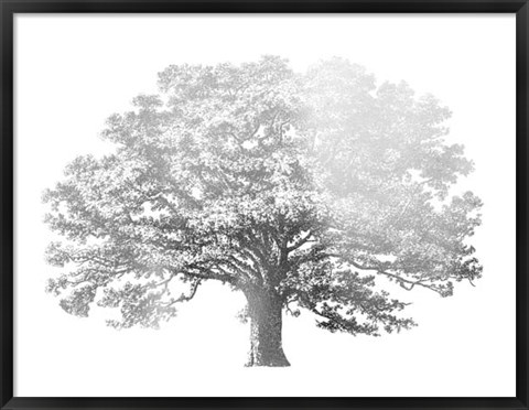Framed Silver Foil Elephant Tree - Metallic Foil Print